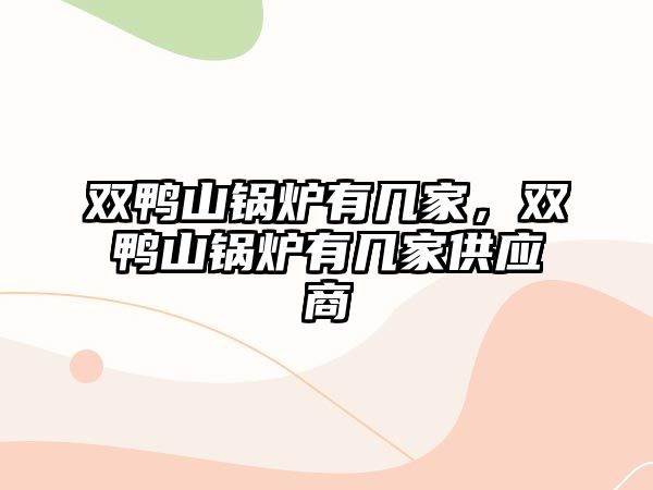 雙鴨山鍋爐有幾家，雙鴨山鍋爐有幾家供應(yīng)商