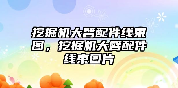 挖掘機大臂配件線束圖，挖掘機大臂配件線束圖片