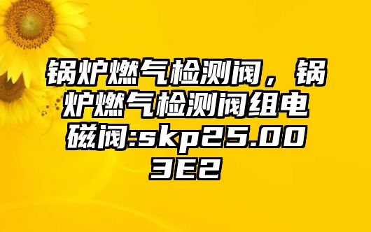 鍋爐燃氣檢測閥，鍋爐燃氣檢測閥組電磁閥:skp25.003E2