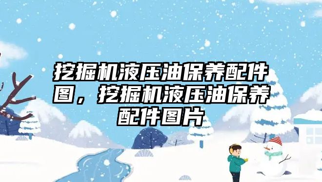 挖掘機液壓油保養(yǎng)配件圖，挖掘機液壓油保養(yǎng)配件圖片