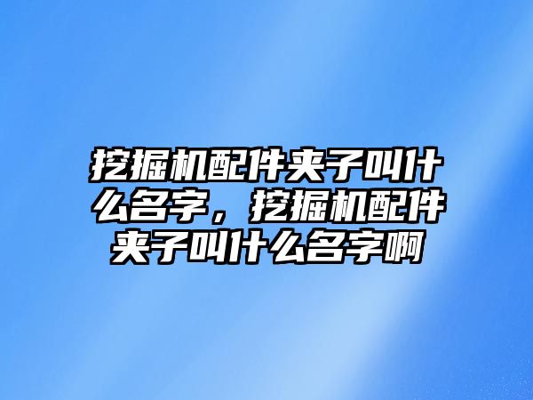 挖掘機(jī)配件夾子叫什么名字，挖掘機(jī)配件夾子叫什么名字啊