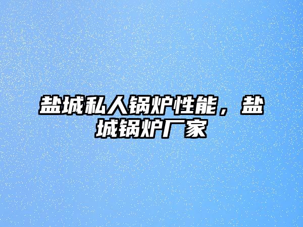 鹽城私人鍋爐性能，鹽城鍋爐廠家