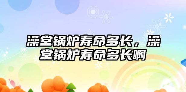 澡堂鍋爐壽命多長，澡堂鍋爐壽命多長啊