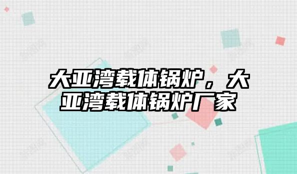 大亞灣載體鍋爐，大亞灣載體鍋爐廠家