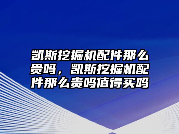 凱斯挖掘機配件那么貴嗎，凱斯挖掘機配件那么貴嗎值得買嗎