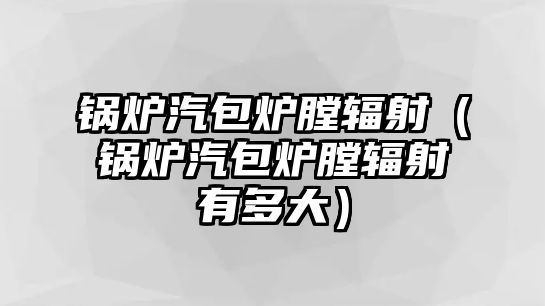 鍋爐汽包爐膛輻射（鍋爐汽包爐膛輻射有多大）