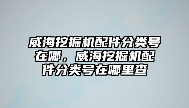 威海挖掘機配件分類號在哪，威海挖掘機配件分類號在哪里查