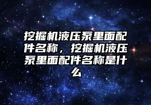 挖掘機液壓泵里面配件名稱，挖掘機液壓泵里面配件名稱是什么