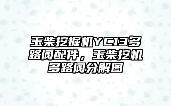 玉柴挖掘機YC13多路閥配件，玉柴挖機多路閥分解圖