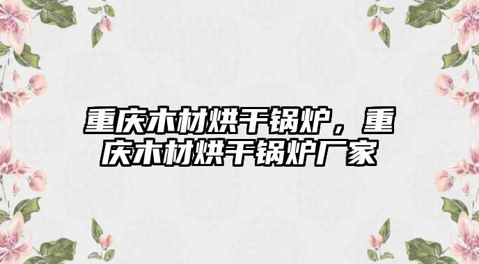 重慶木材烘干鍋爐，重慶木材烘干鍋爐廠家