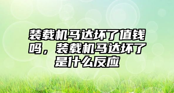 裝載機(jī)馬達(dá)壞了值錢嗎，裝載機(jī)馬達(dá)壞了是什么反應(yīng)