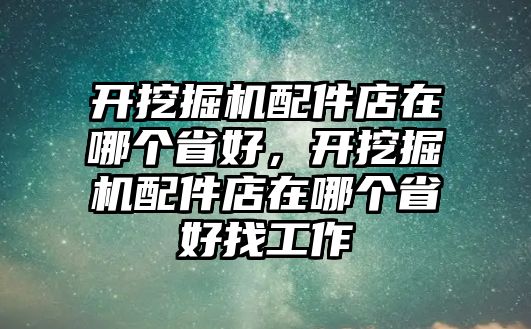 開挖掘機(jī)配件店在哪個省好，開挖掘機(jī)配件店在哪個省好找工作