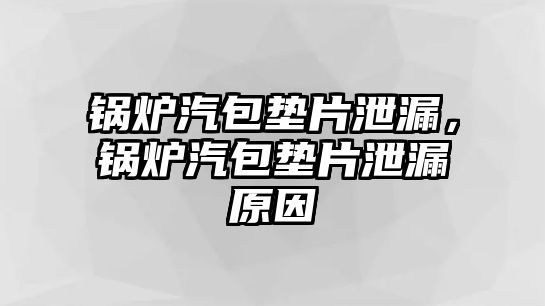 鍋爐汽包墊片泄漏，鍋爐汽包墊片泄漏原因