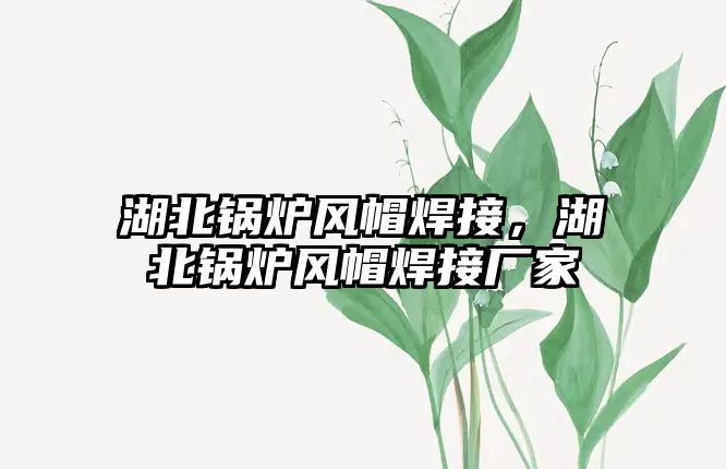 湖北鍋爐風(fēng)帽焊接，湖北鍋爐風(fēng)帽焊接廠家