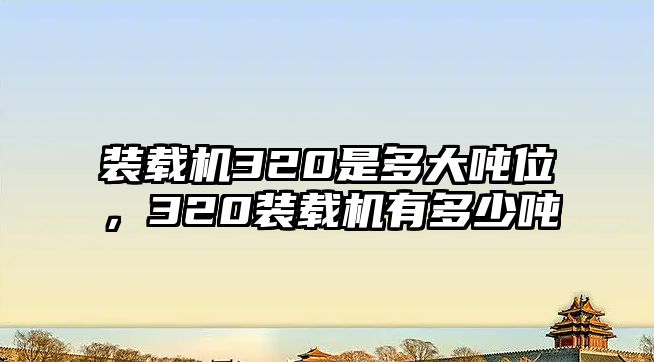 裝載機320是多大噸位，320裝載機有多少噸