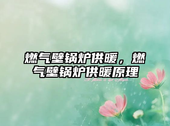 燃?xì)獗阱仩t供暖，燃?xì)獗阱仩t供暖原理