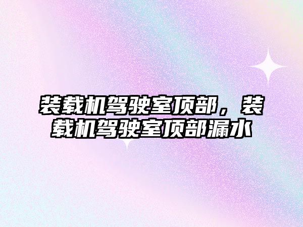 裝載機駕駛室頂部，裝載機駕駛室頂部漏水