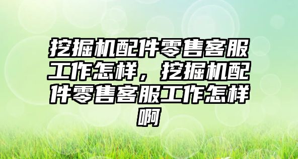 挖掘機配件零售客服工作怎樣，挖掘機配件零售客服工作怎樣啊