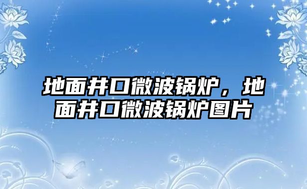 地面井口微波鍋爐，地面井口微波鍋爐圖片