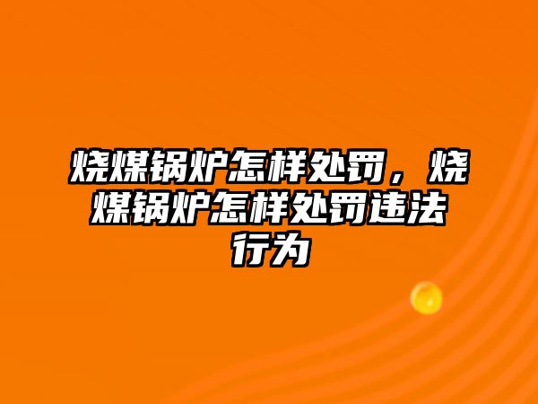 燒煤鍋爐怎樣處罰，燒煤鍋爐怎樣處罰違法行為