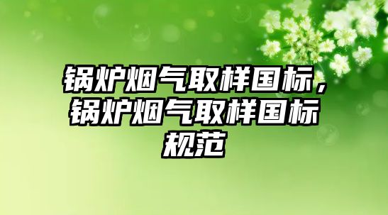 鍋爐煙氣取樣國標，鍋爐煙氣取樣國標規(guī)范