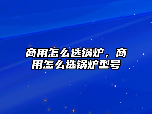 商用怎么選鍋爐，商用怎么選鍋爐型號(hào)