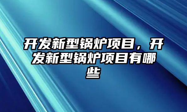 開發(fā)新型鍋爐項目，開發(fā)新型鍋爐項目有哪些