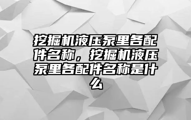 挖掘機液壓泵里各配件名稱，挖掘機液壓泵里各配件名稱是什么