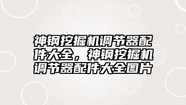 神鋼挖掘機調(diào)節(jié)器配件大全，神鋼挖掘機調(diào)節(jié)器配件大全圖片