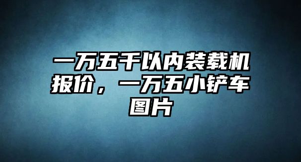 一萬五千以內(nèi)裝載機報價，一萬五小鏟車圖片