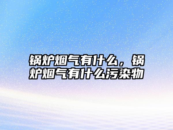 鍋爐煙氣有什么，鍋爐煙氣有什么污染物