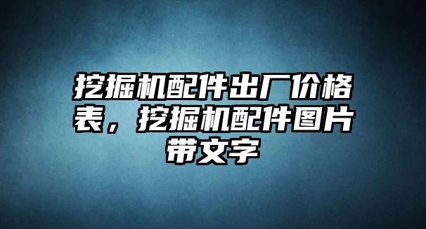 挖掘機配件出廠價格表，挖掘機配件圖片帶文字