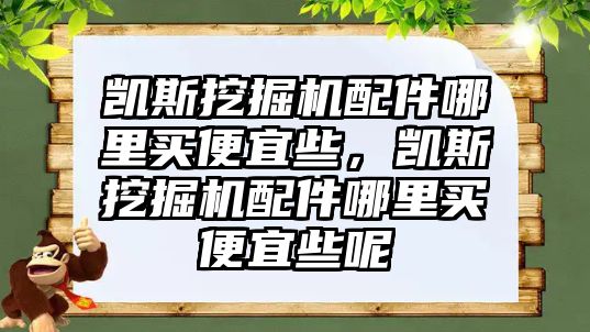 凱斯挖掘機配件哪里買便宜些，凱斯挖掘機配件哪里買便宜些呢