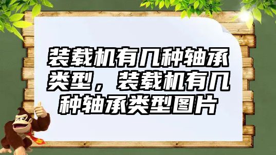 裝載機有幾種軸承類型，裝載機有幾種軸承類型圖片