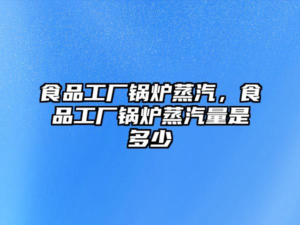 食品工廠鍋爐蒸汽，食品工廠鍋爐蒸汽量是多少