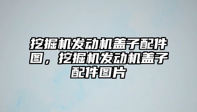 挖掘機發(fā)動機蓋子配件圖，挖掘機發(fā)動機蓋子配件圖片