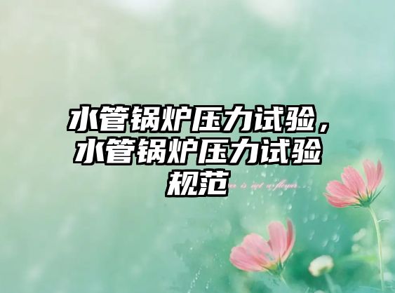 水管鍋爐壓力試驗(yàn)，水管鍋爐壓力試驗(yàn)規(guī)范