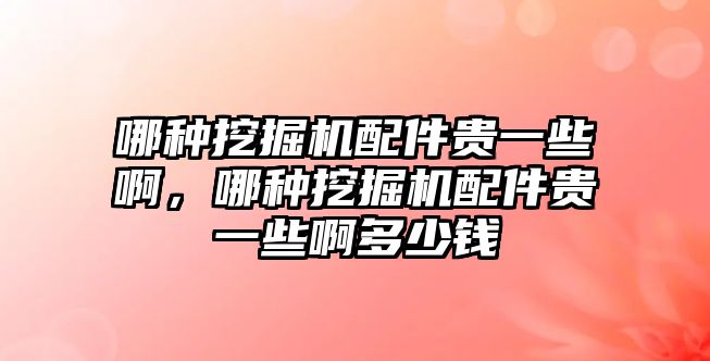 哪種挖掘機配件貴一些啊，哪種挖掘機配件貴一些啊多少錢