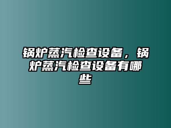 鍋爐蒸汽檢查設(shè)備，鍋爐蒸汽檢查設(shè)備有哪些