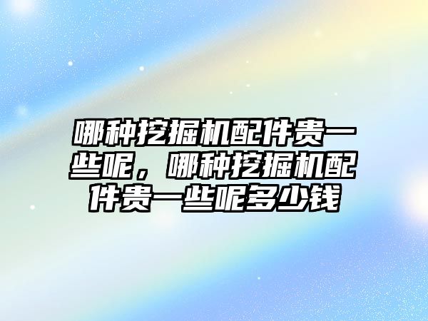 哪種挖掘機(jī)配件貴一些呢，哪種挖掘機(jī)配件貴一些呢多少錢