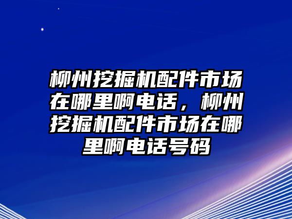 柳州挖掘機配件市場在哪里啊電話，柳州挖掘機配件市場在哪里啊電話號碼