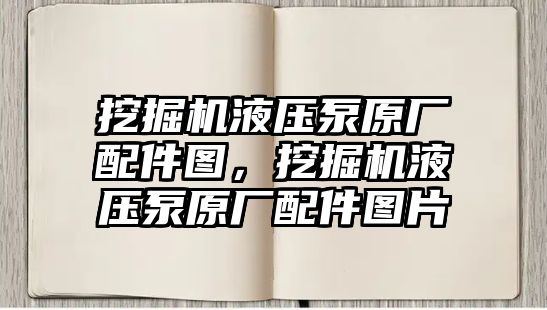 挖掘機液壓泵原廠配件圖，挖掘機液壓泵原廠配件圖片