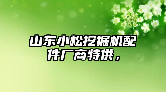 山東小松挖掘機配件廠商特供，