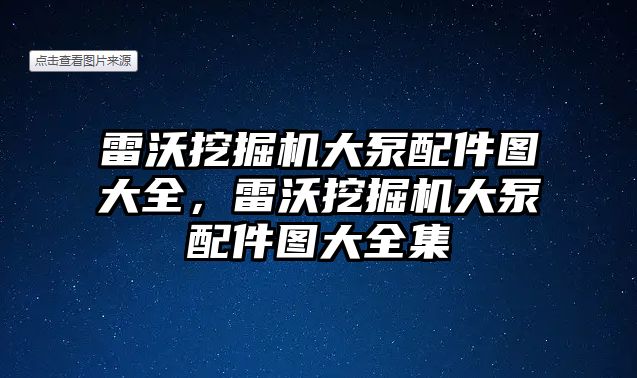 雷沃挖掘機大泵配件圖大全，雷沃挖掘機大泵配件圖大全集