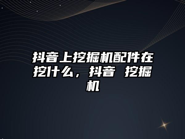 抖音上挖掘機配件在挖什么，抖音 挖掘機