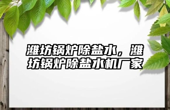 濰坊鍋爐除鹽水，濰坊鍋爐除鹽水機廠家