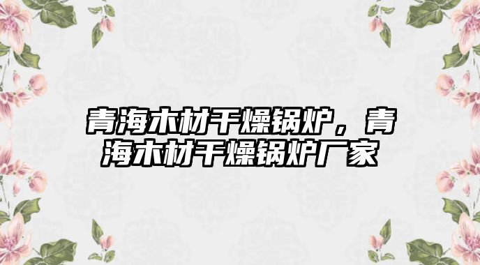 青海木材干燥鍋爐，青海木材干燥鍋爐廠家