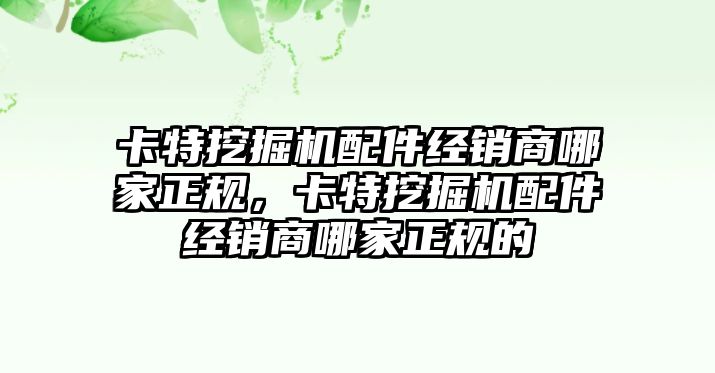 卡特挖掘機配件經(jīng)銷商哪家正規(guī)，卡特挖掘機配件經(jīng)銷商哪家正規(guī)的