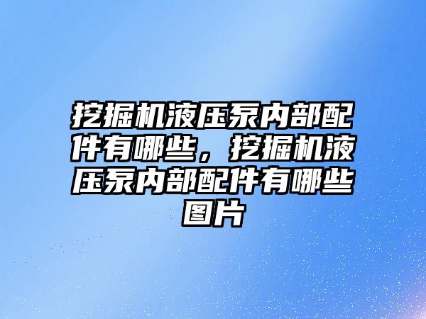 挖掘機液壓泵內部配件有哪些，挖掘機液壓泵內部配件有哪些圖片