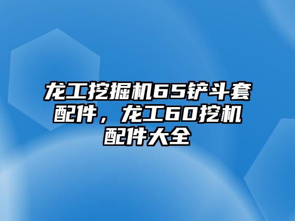 龍工挖掘機(jī)65鏟斗套配件，龍工60挖機(jī)配件大全